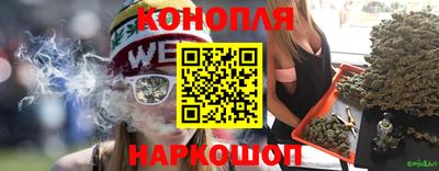 крисы Будённовск