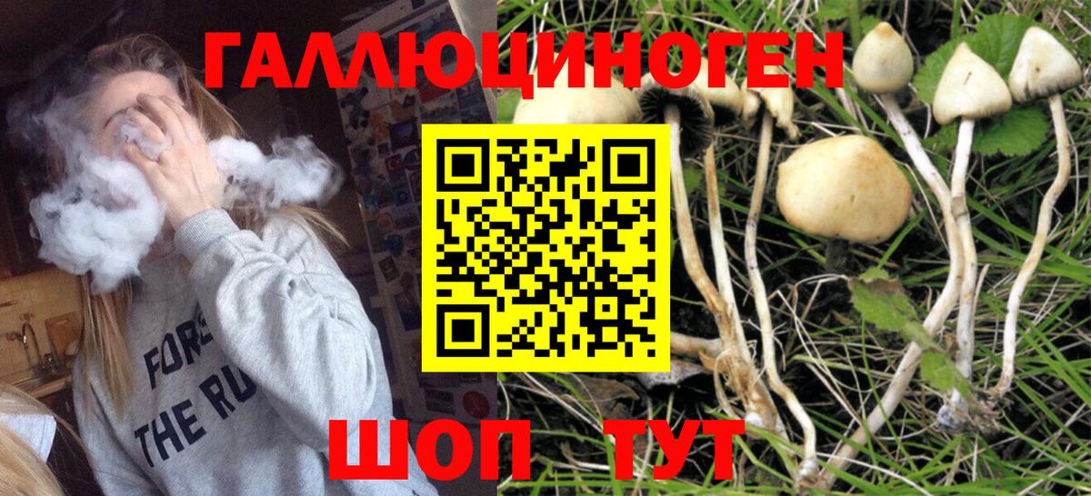 Галлюциногенные грибы мицелий Пермь