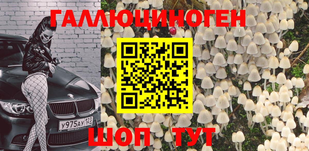 Псилоцибиновые грибы Psilocybine cubensis  где продают   Пермь  Вход с VPN 
